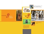 Pet Store Half Fold Brochure Pet Store Half Fold Brochure