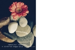 postcard-611