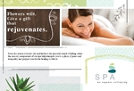 Day Spa Small Postcard