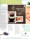 Day Spa Flyer