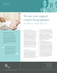 Pregnancy Clinic Sell Sheet