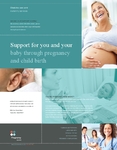 Pregnancy Clinic Flyer