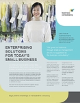 Small Business Consultant Sell Sheet