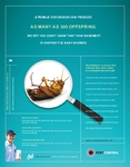 Pest Control Services Flyer