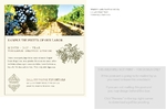 Vineyard & Winery Jumbo Postcard