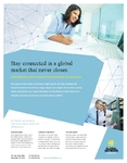 Global Network Services Flyer