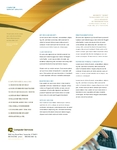 Computer Support Services Sell Sheet