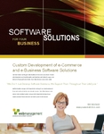 Internet Software Flyer