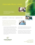 Internet Marketing Flyer