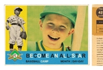 Baseball Sports Camp Small Postcard