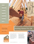 Home Building Carpentry Flyer