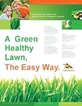 Lawn Maintenance Flyer