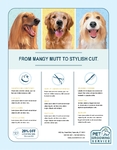 Pet Grooming Service Flyer