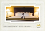 Pet Hotel & Spa Small Postcard Pet Hotel & Spa Small Postcard