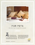 Pet Hotel & Spa Flyer