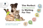 Pet Store Jumbo Postcard