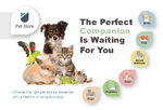 Pet Store Small Postcard Pet Store Small Postcard