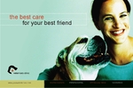 Veterinary Clinic Jumbo Postcard