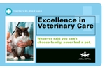 Animal Hospital Jumbo Postcard