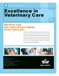 Animal Hospital Flyer