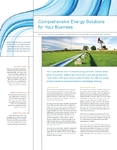 Renewable Energy Consulting Sell Sheet Renewable Energy Consulting Sell Sheet