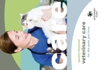 Vet Clinic Small Postcard Vet Clinic Small Postcard