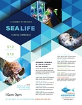 Ocean Aquarium Flyer Ocean Aquarium Flyer
