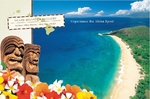 Hawaii Travel Vacation Jumbo Postcard
